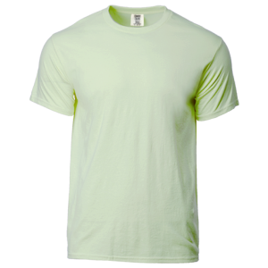Comfort Colors 1717