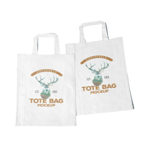 Non Woven Bag